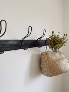 Vintage French row of school coat pegs on a wood plank