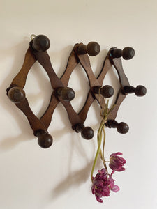 Vintage Extendable coat hook