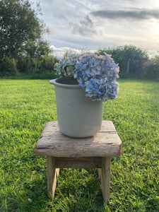 Vintage French sandstone pot