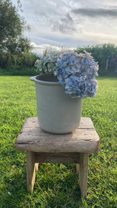 Vintage French sandstone pot