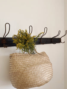 Vintage French row of school coat pegs on a wood plank