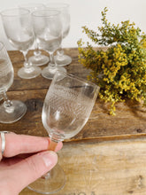 Load image into Gallery viewer, Antique etched wine or apéritif glasses, set in two sizes