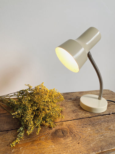 Vintage French Articulated desk lamp