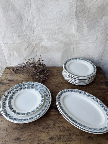 Vintage French St Amand Iberia dinner service