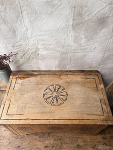 Antique shoe polishing chest