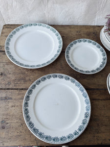 Vintage French St Amand Iberia dinner service