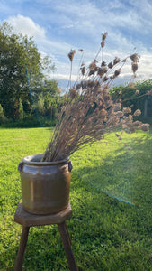 Vintage French large 6L sandstone crock