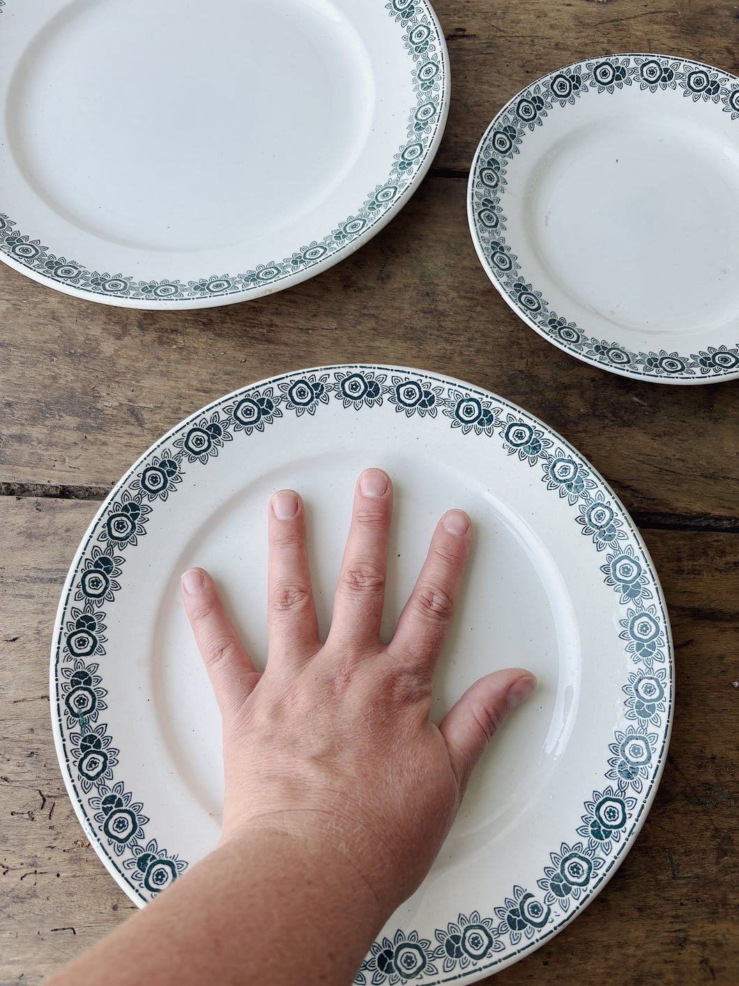 Vintage French St Amand Iberia dinner service
