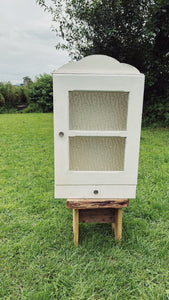 French 1950s bathroom cabinet