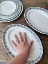 Load image into Gallery viewer, Vintage French St Amand Iberia dinner service