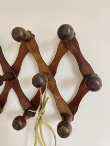 Vintage Extendable coat hook