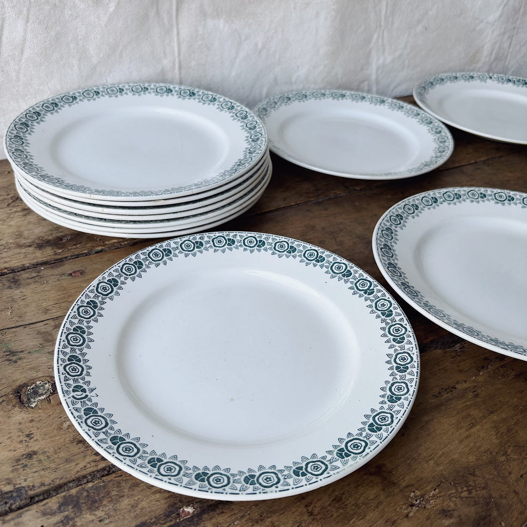 Vintage French St Amand Iberia dinner service