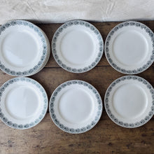 Load image into Gallery viewer, Vintage French St Amand Iberia dinner service