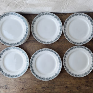 Vintage French St Amand Iberia dinner service