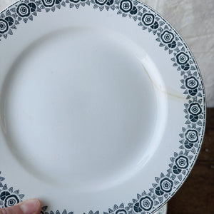 Vintage French St Amand Iberia dinner service