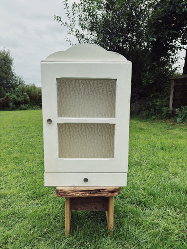 French 1950s bathroom cabinet