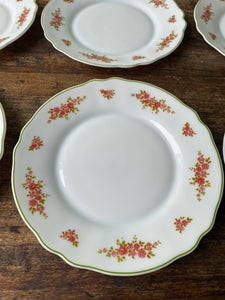 Vintage milk glass Arcopal dessert plates - set of 11