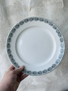 Vintage French St Amand Iberia dinner service