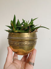 Load image into Gallery viewer, Vintage French bohemian brass plant pot holders