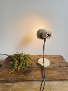 Vintage French Articulated desk lamp