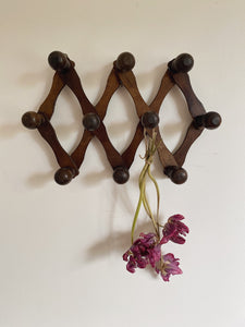 Vintage Extendable coat hook