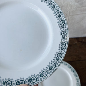 Vintage French St Amand Iberia dinner service