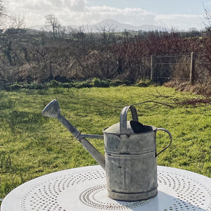 French zinc galvanised watering can