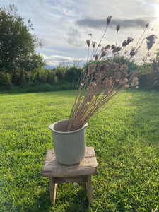 Vintage French sandstone pot