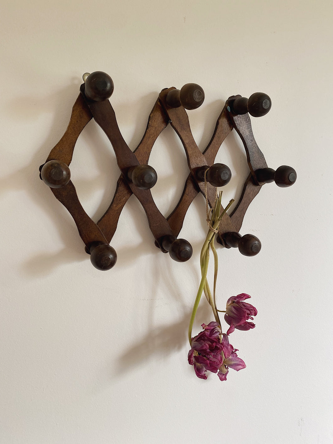 Vintage Extendable coat hook