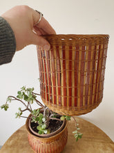 Load image into Gallery viewer, Vintage 1970s French wicker plant pot holders