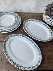 Vintage French St Amand Iberia dinner service
