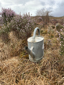 Vintage Galvanised watering can