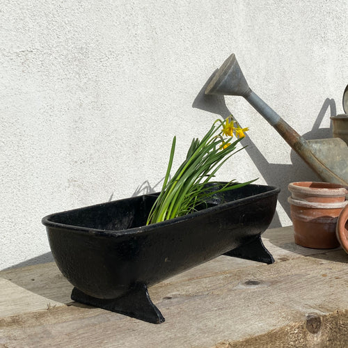 Vintage cast iron jardiniere planter