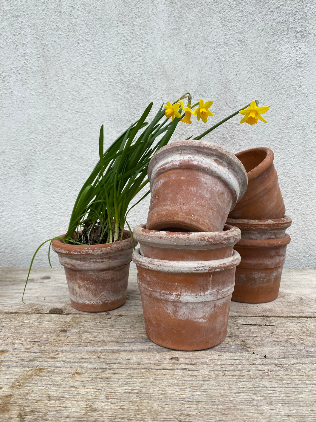 Vintage weathered terracotta pots