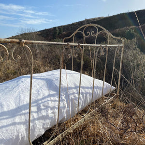Antique French Wrought Iron Daybed