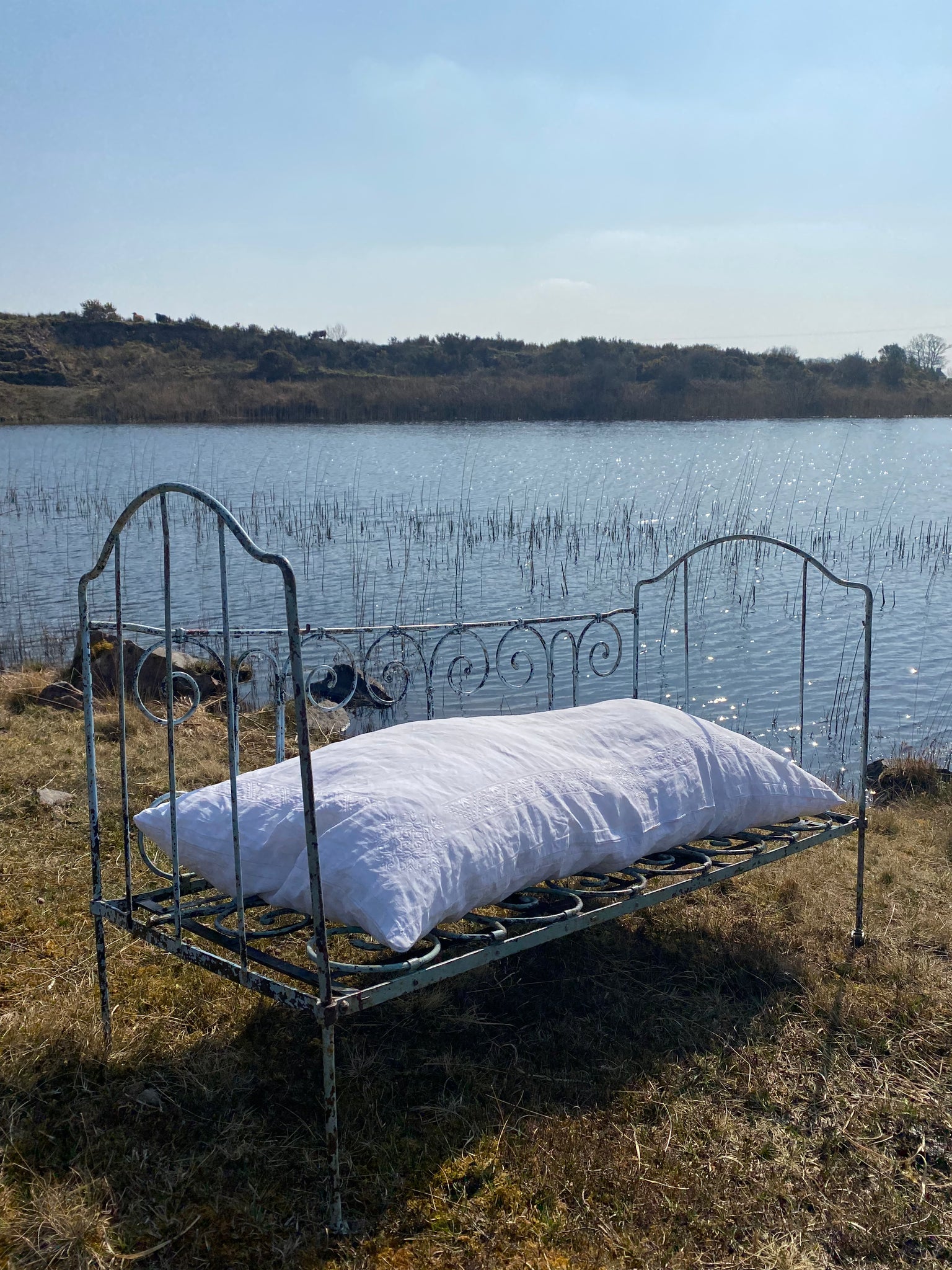 Vintage wrought iron day bed baby blue chipped paint Scenes