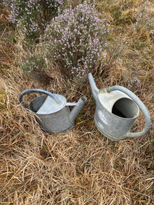 Vintage Galvanised watering can