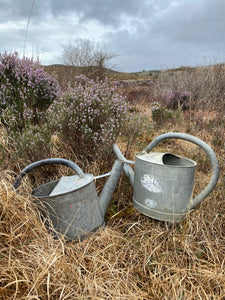 Vintage Galvanised watering can